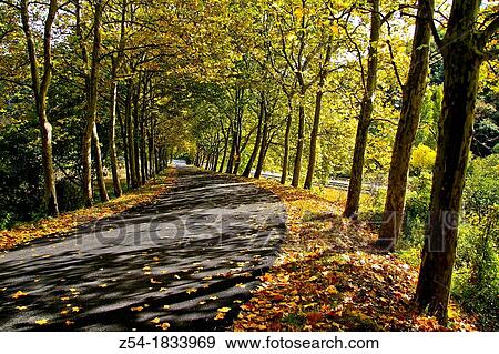 Road in Autumn at Castile and Le? n, Spain View Large Photo Image Stock Photo - Road in Autumn at Castile and Le? n, Spain. Fotosearch