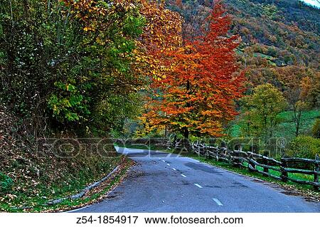 Road in autumn in Aller council, Asturias, Spain View Large Photo Image Stock Photo - Road in autumn in Aller council, Asturias, Spain. Fotosearch