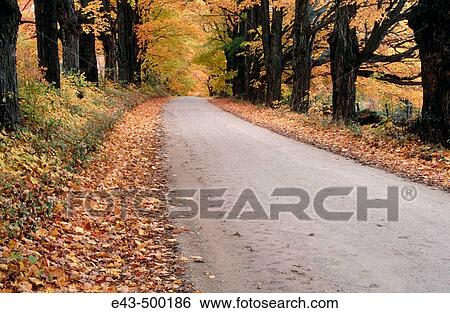 Stock Photograph - Road in autumn. Utah, USA. Fotosearch