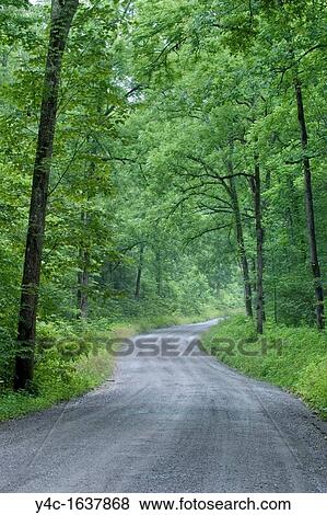 Road in Greenbrier section of Great Smoky Mountains National Park in Tennessee View Large Photo Image Stock Photo - Road in Greenbrier section of Great Smoky Mountains National Park in Tennessee. Fotosearch