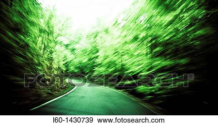 Road in Irate forest, Navarre, Spain View Large Photo Image Stock Photo - Road in Irate forest, Navarre, Spain. Fotosearch