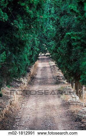 Road in Penedes Barcelona, Spain View Large Photo Image Stock Image - Road in Penedes Barcelona, Spain. Fotosearch