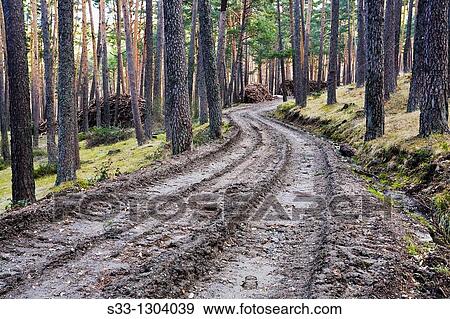 Road in the Acebeda pinewood, Sierra de Guadarrama, Valsa? n, Segovia province, Castile-Leon, Spain View Large Photo Image Stock Photo - Road in the Acebeda pinewood, Sierra de Guadarrama, Valsa? n, Segovia province, Castile-Leon, Spain. Fotosearch