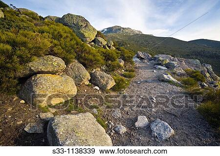 Road in the Natural Park of Pealara Madrid Spain View Large Photo Image Stock Photo - Road in the Natural Park of Pealara Madrid Spain. Fotosearch