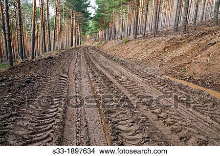 Road in the pinewood at Hierro hilll Sierra Norte Puebla de la Sierra Madrid Spain View Large Photo Image Picture - Road in the pinewood at Hierro hilll Sierra Norte Puebla de la Sierra Madrid Spain. Fotosearch