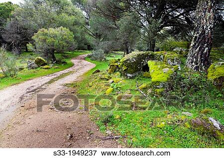 Road in Valdeasensio. La Adrada. Avila. Castilla Leon. Spain. View Large Photo Image Stock Photo - Road in Valdeasensio. La Adrada. Avila. Castilla Leon. Spain.. Fotosearch