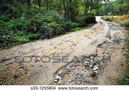 Road of La Cabeza in Navahondilla? vila Castilla Le? n Spain View Large Photo Image Picture - Road of La Cabeza in Navahondilla? vila Castilla Le? n Spain. Fotosearch