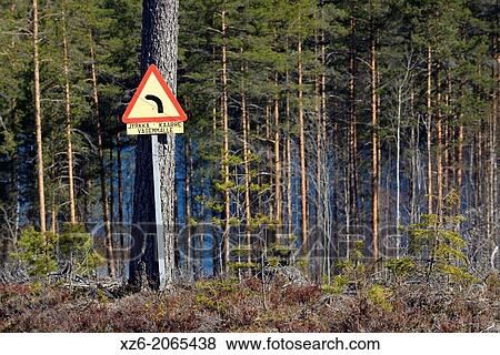 Road sign in a wood, North Karelia, Finland, Europe. View Large Photo Image Stock Photo - Road sign in a wood, North Karelia, Finland, Europe.. Fotosearch