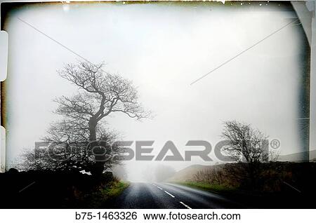 Road View Large Photo Image Stock Photograph - Road. Fotosearch