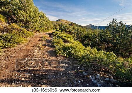 Road to the PasapBn port in the Sierra del Quintanar Segovia Castilla Le? n Spain View Large Photo Image Stock Photograph - Road to the PasapBn port in the Sierra del Quintanar Segovia Castilla Le? n Spain. Fotosearch