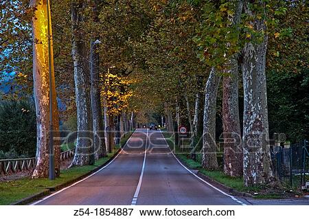 Road with trees at Comillas, Cantabria, Spain View Large Photo Image Stock Photo - Road with trees at Comillas, Cantabria, Spain. Fotosearch
