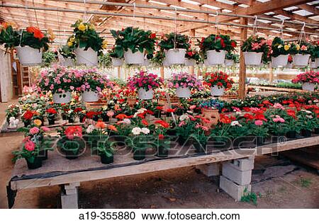 Roadside produce and flower market near Denton, Maryland. USA. View Large Photo Image Stock Image - Roadside produce and flower market near Denton, Maryland. USA.. Fotosearch