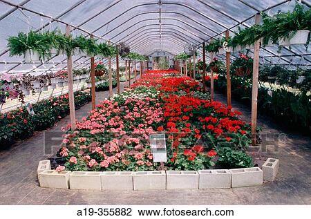 Roadside produce and flower market near Denton, Maryland. USA. View Large Photo Image Stock Image - Roadside produce and flower market near Denton, Maryland. USA.. Fotosearch
