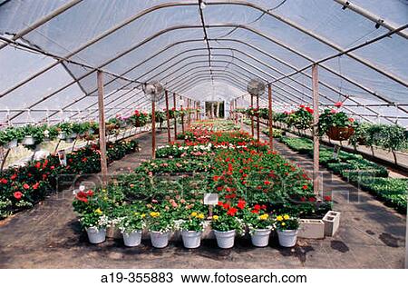 Roadside produce and flower market near Denton, Maryland. USA. View Large Photo Image Stock Image - Roadside produce and flower market near Denton, Maryland. USA.. Fotosearch