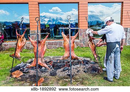 Roasting lambs in Torres del Paine National Park, Patagonia, Chile View Large Photo Image Stock Image - Roasting lambs in Torres del Paine National Park, Patagonia, Chile. Fotosearch