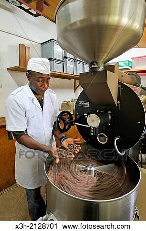 roasting of the cocoa beans in the laboratory of Claudio Corallo, agronomist, cocoa producer and chocolate maker, city of Sao Tome, Sao Tome Island, Republic of Sao Tome and Principe, Africa. View Large Photo Image Stock Image - roasting of the cocoa beans in the laboratory of Claudio Corallo, agronomist, cocoa producer and chocolate maker, city of Sao Tome, Sao Tome Island, Republic of Sao Tome and Principe, Africa.. Fotosearch