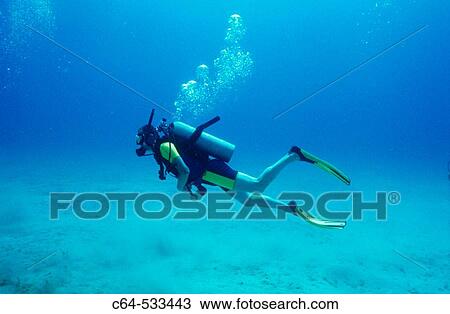 Roatan. Bay Islands. Honduras. View Large Photo Image Stock Image - Roatan. Bay Islands. Honduras.. Fotosearch