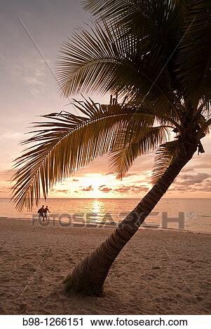 Stock Image - Roatan's West Bay. Fotosearch