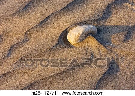 Rock and ripples in sand illuminated in the setting sun View Large Photo Image Stock Image - Rock and ripples in sand illuminated in the setting sun. Fotosearch
