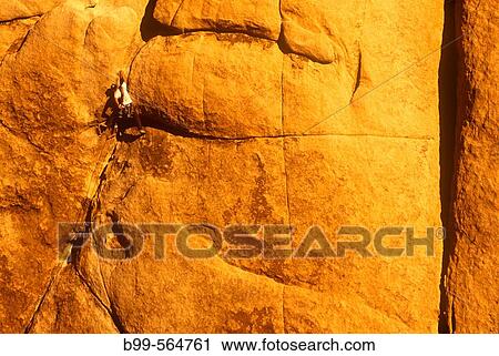 Rock climber, Sentinal dome, Hidden Valley, Joshua Tree National Park, California, USA. View Large Photo Image Stock Image - Rock climber, Sentinal dome, Hidden Valley, Joshua Tree National Park, California, USA.. Fotosearch