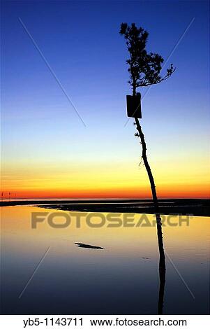 Rock Harbor Creek, Cape Cod, MA View Large Photo Image Stock Image - Rock Harbor Creek, Cape Cod, MA. Fotosearch
