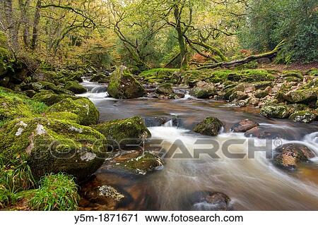 Rocky River Plym flowing through Dewerstone Wood near Shaugh Prior in Dartmoor National Park, Devon, England, UK, Europe View Large Photo Image Stock Image - Rocky River Plym flowing through Dewerstone Wood near Shaugh Prior in Dartmoor National Park, Devon, England, UK, Europe. Fotosearch