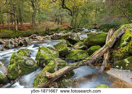 Rocky River Plym flowing through Dewerstone Wood near Shaugh Prior in Dartmoor National Park, Devon, England, UK, Europe View Large Photo Image Stock Photo - Rocky River Plym flowing through Dewerstone Wood near Shaugh Prior in Dartmoor National Park, Devon, England, UK, Europe. Fotosearch