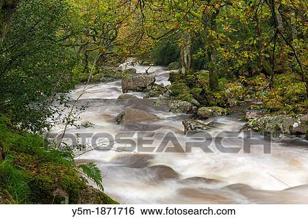 Stock Photograph - Rocky River Plym flowing through Dewerstone Wood near Shaugh Prior in Dartmoor National Park, Devon, England, UK, Europe. Fotosearch