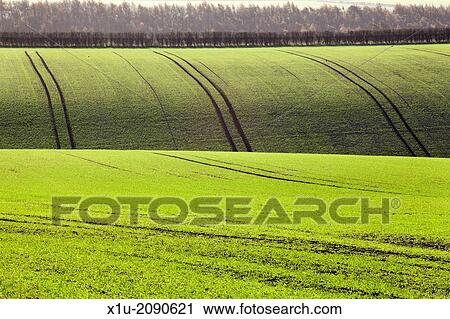 Rolling Fields near Fridaythorpe Yorkshire Wolds England. View Large Photo Image Stock Image - Rolling Fields near Fridaythorpe Yorkshire Wolds England.. Fotosearch