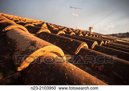 Roof lit by the last light of day, Valencia, Spain View Large Photo Image Stock Image - Roof lit by the last light of day, Valencia, Spain. Fotosearch