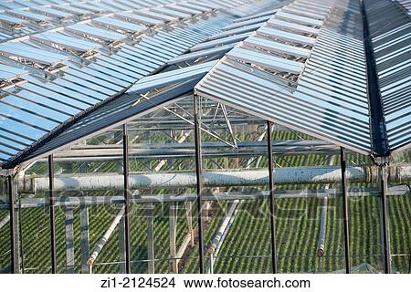rooftops of greenhouses in Westland, the Netherlands View Large Photo Image Picture - rooftops of greenhouses in Westland, the Netherlands. Fotosearch
