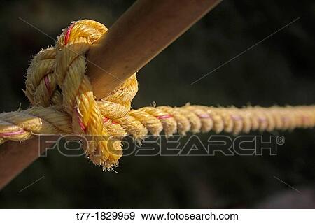 Rope with knot View Large Photo Image Stock Photo - Rope with knot. Fotosearch