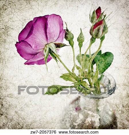 Rose flower in vase, textured image. View Large Photo Image Stock Photograph - Rose flower in vase, textured image.. Fotosearch