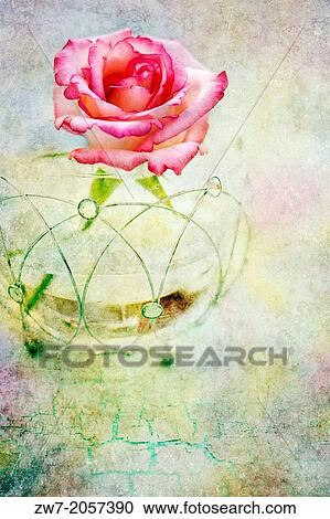 Rose in glass bowl, textured image. View Large Photo Image Stock Image - Rose in glass bowl, textured image.. Fotosearch