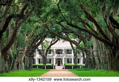 Rosedown plantation antebellum mansion house near the town of Francisville, Louisiana, USA View Large Photo Image Stock Photo - Rosedown plantation antebellum mansion house near the town of Francisville, Louisiana, USA. Fotosearch