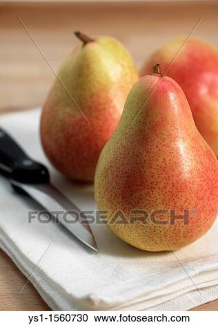 Rosemary Pear, pyrus communis, Fresh Fruits View Large Photo Image Stock Image - Rosemary Pear, pyrus communis, Fresh Fruits. Fotosearch
