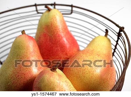 Stock Photo - Rosemary Pear, pyrus communis, Fresh Fruits. Fotosearch