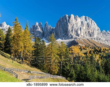 Rosengarten also called Catinaccio mountain range in the Dolomites of South Tyrol Alto Adige during autumn View Large Photo Image Stock Photo - Rosengarten also called Catinaccio mountain range in the Dolomites of South Tyrol Alto Adige during autumn. Fotosearch