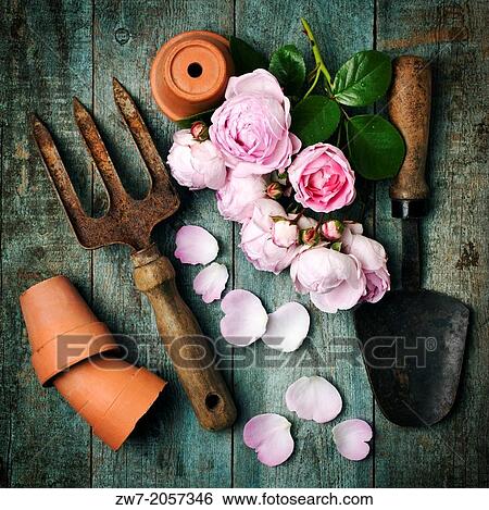 Roses with garden hand tools and terracotta plant pots. View Large Photo Image Stock Photograph - Roses with garden hand tools and terracotta plant pots.. Fotosearch