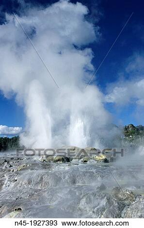 Rotorua; Geysir; Steaming Geyser; New Zealand. View Large Photo Image Stock Image - Rotorua; Geysir; Steaming Geyser; New Zealand.. Fotosearch