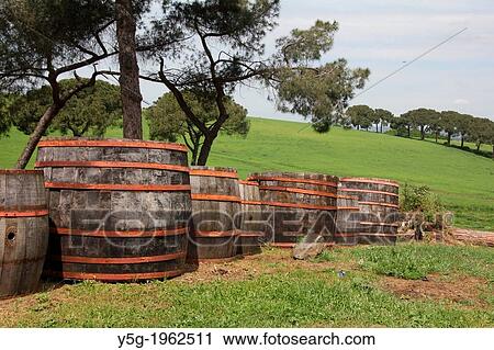 row of old wine barrels at a farm near at La Storta near Rome Italy. View Large Photo Image Stock Image - row of old wine barrels at a farm near at La Storta near Rome Italy.. Fotosearch