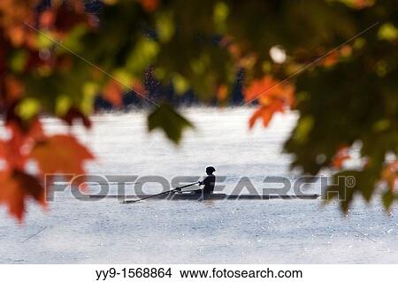 Rowing in Early Morning Mist - Lake Julian - Asheville, North Carolina USA View Large Photo Image Picture - Rowing in Early Morning Mist - Lake Julian - Asheville, North Carolina USA. Fotosearch