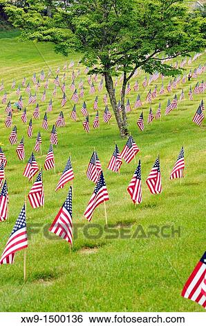 Rows of American Flags on the graves of American war veterans at the National Cemetery in Bourne, Cape Cod, Massachusetts, USA View Large Photo Image Stock Photograph - Rows of American Flags on the graves of American war veterans at the National Cemetery in Bourne, Cape Cod, Massachusetts, USA. Fotosearch