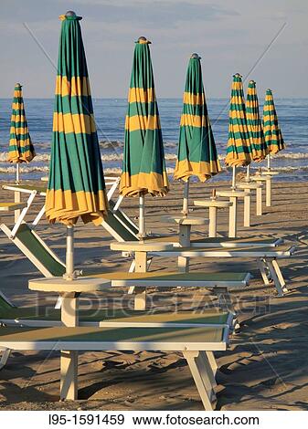 Stock Photo - Rows of sun umbrellas and long chairs at evening with no people anymore sunbathing, Cervia, Italy. Fotosearch