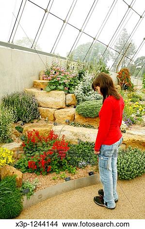 Royal Botanic Gardens Kew Richmond, London Davies alpine house Alpine plants View Large Photo Image Picture - Royal Botanic Gardens Kew Richmond, London Davies alpine house Alpine plants. Fotosearch