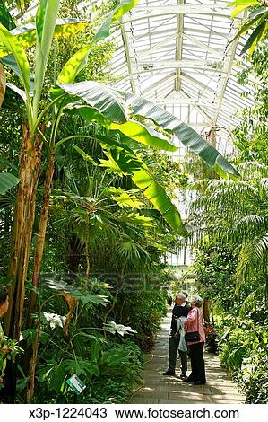 Royal Botanic Gardens Kew Richmond, London Temperate house View Large Photo Image Stock Image - Royal Botanic Gardens Kew Richmond, London Temperate house. Fotosearch