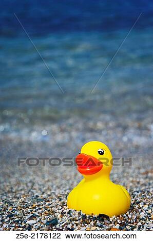 Rubber duck on Aegean beach. View Large Photo Image Stock Image - Rubber duck on Aegean beach.. Fotosearch