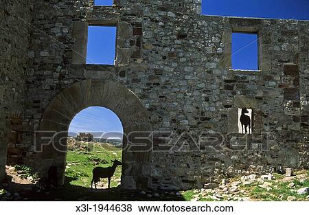 Ruins of Tagamanent castle. Montseny natural park. Barcelona, Catalunya. Spain View Large Photo Image Stock Photo - Ruins of Tagamanent castle. Montseny natural park. Barcelona, Catalunya. Spain. Fotosearch
