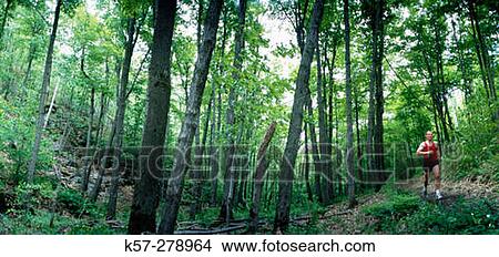 Picture - Running in Canadian forest. Fotosearch