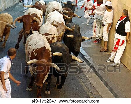 running of the bulls in San Fermin Pamplona 2012 View Large Photo Image Stock Photo - running of the bulls in San Fermin Pamplona 2012. Fotosearch